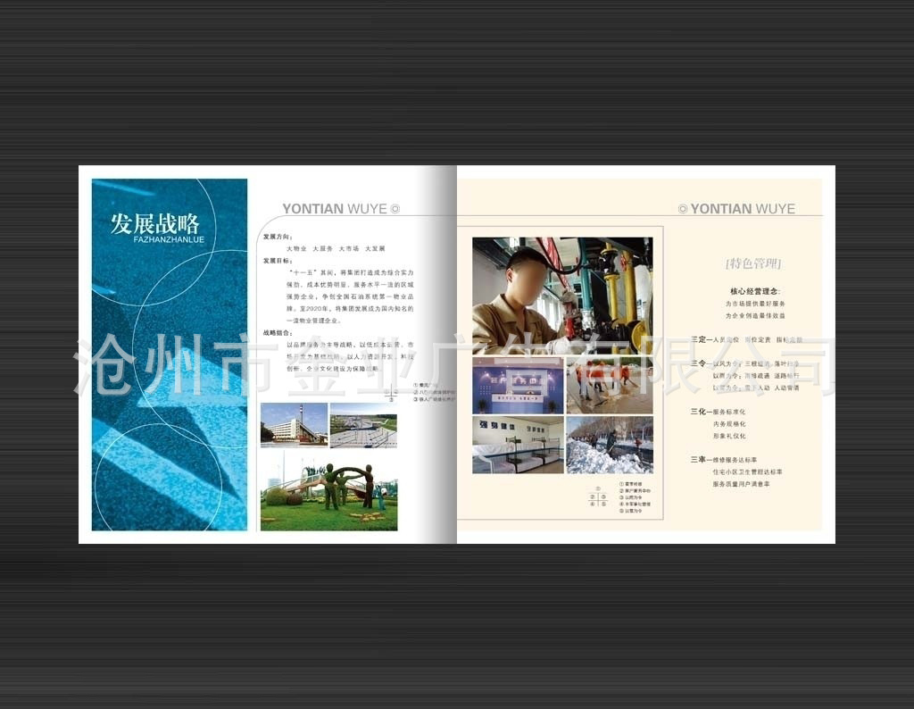 沧州金业印刷与沧州市银丰印刷 专注高品质纸类印刷服务